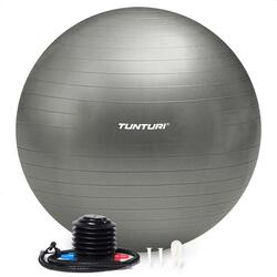 Ballon de fitness - Ballon de yoga - Pompe incluse - Capacité de charge 220 kg