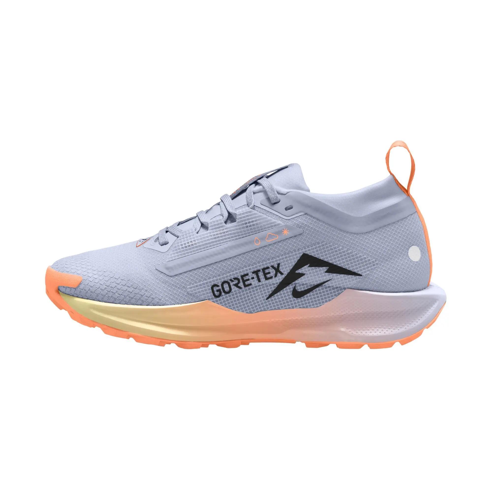 Nike W Pegasus Trail 5 Gtx - ghost/black-malt-orange pulse 2/3
