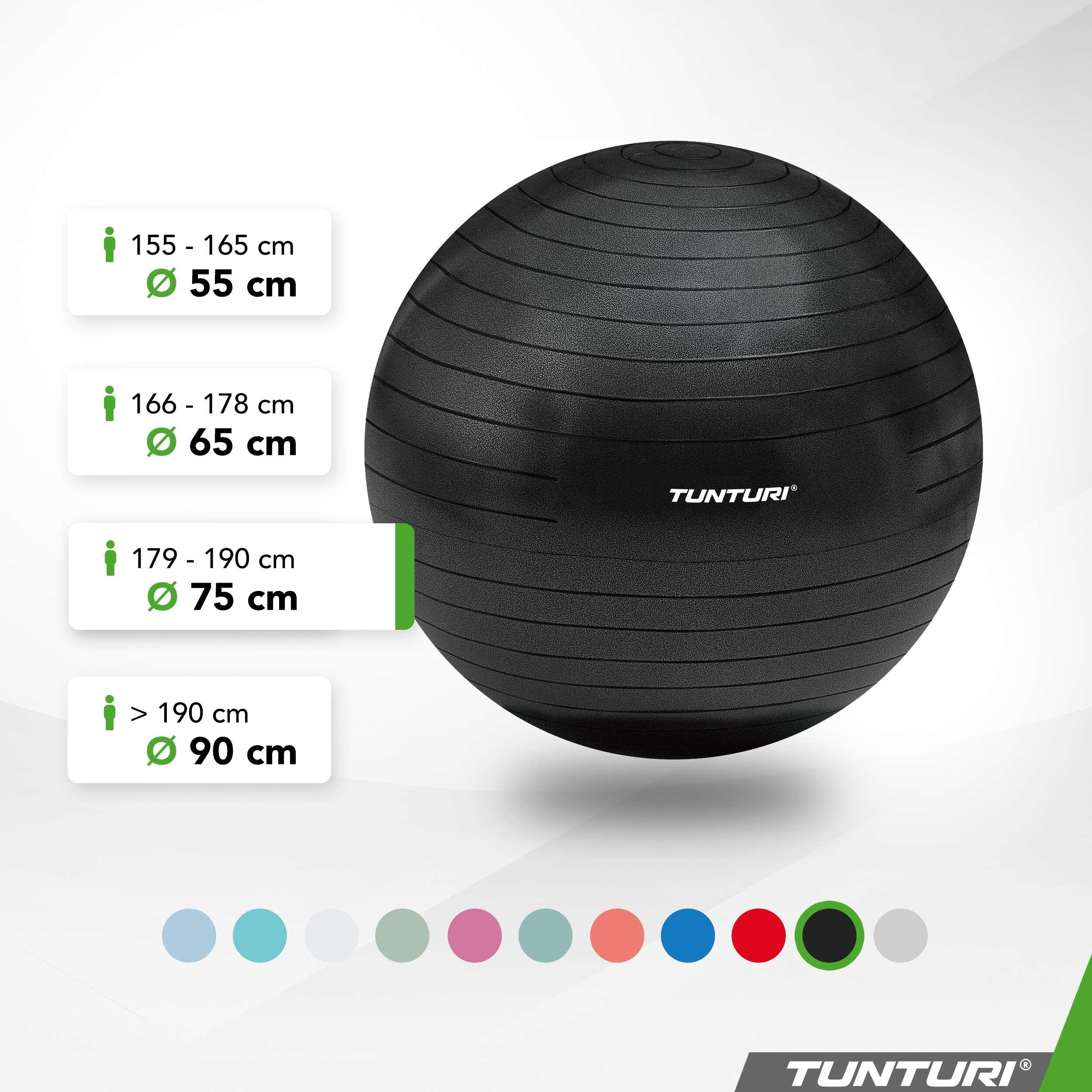 Pelota de fitness - Ø 75 cm - Negra 2/7