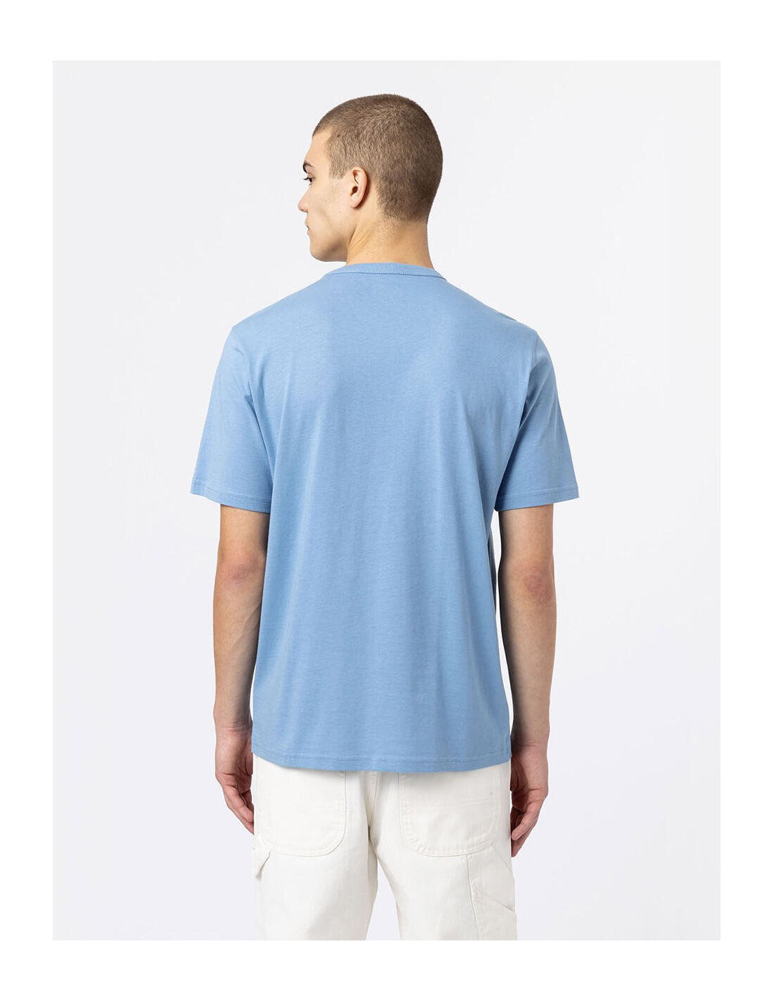 T-shirt DICKIES DK0A4X9F 3/5
