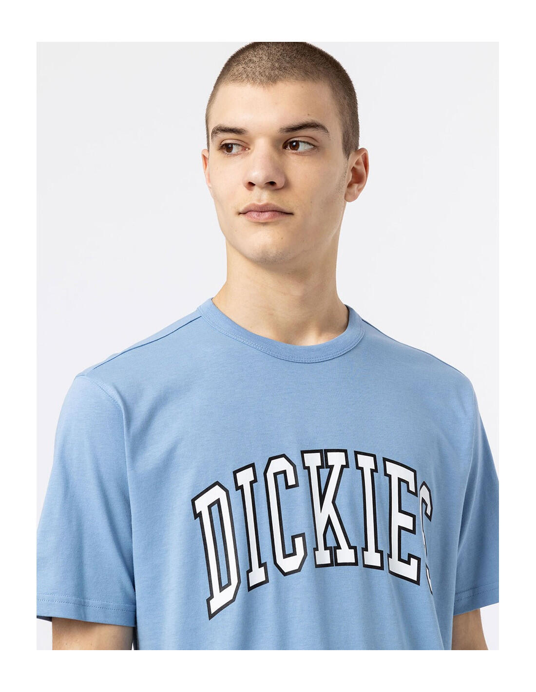 T-shirt DICKIES DK0A4X9F 4/5