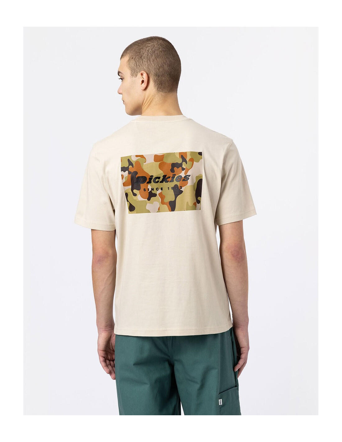 T-shirt DICKIES DK0A4XNY 3/5