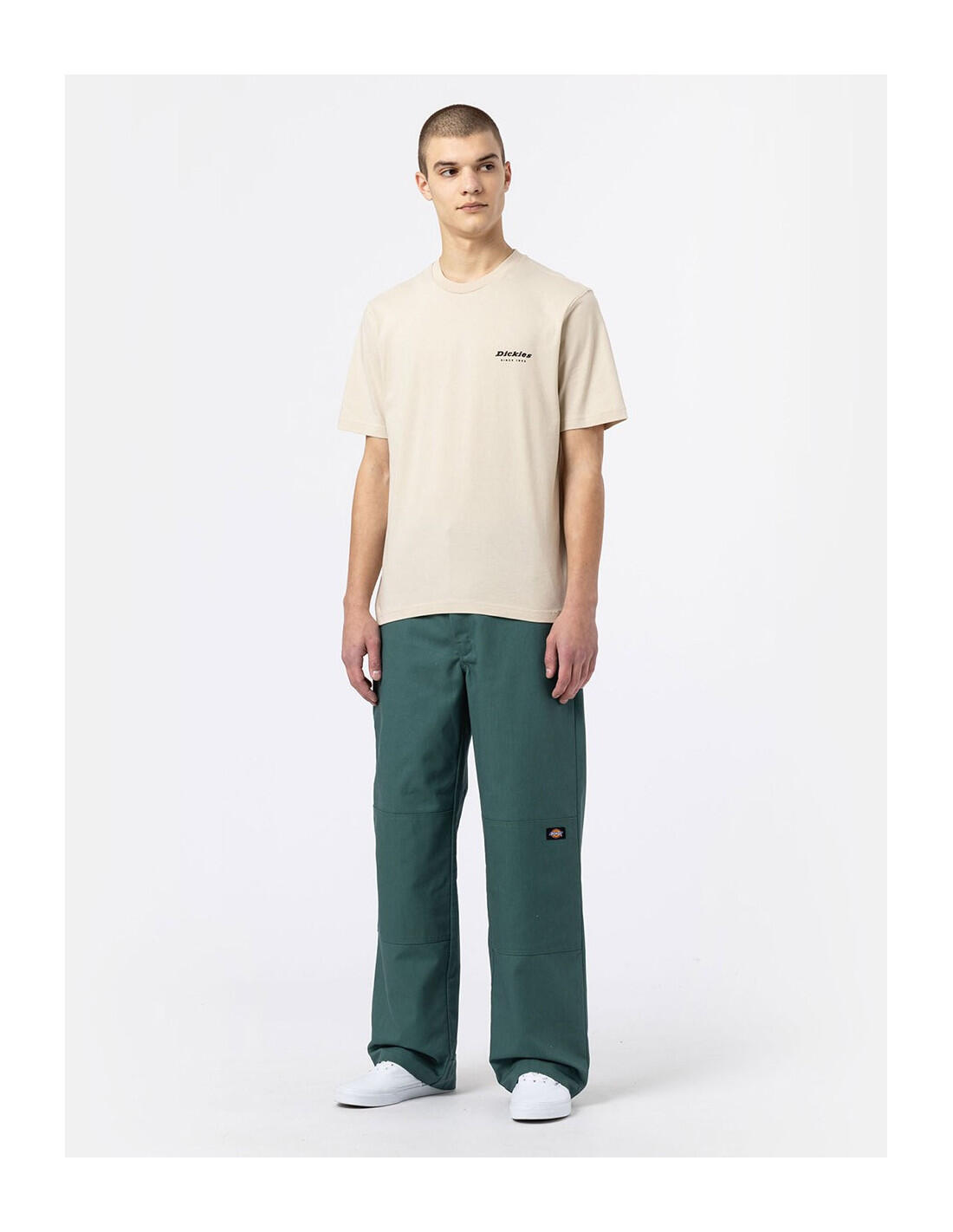 T-shirt DICKIES DK0A4XNY 5/5