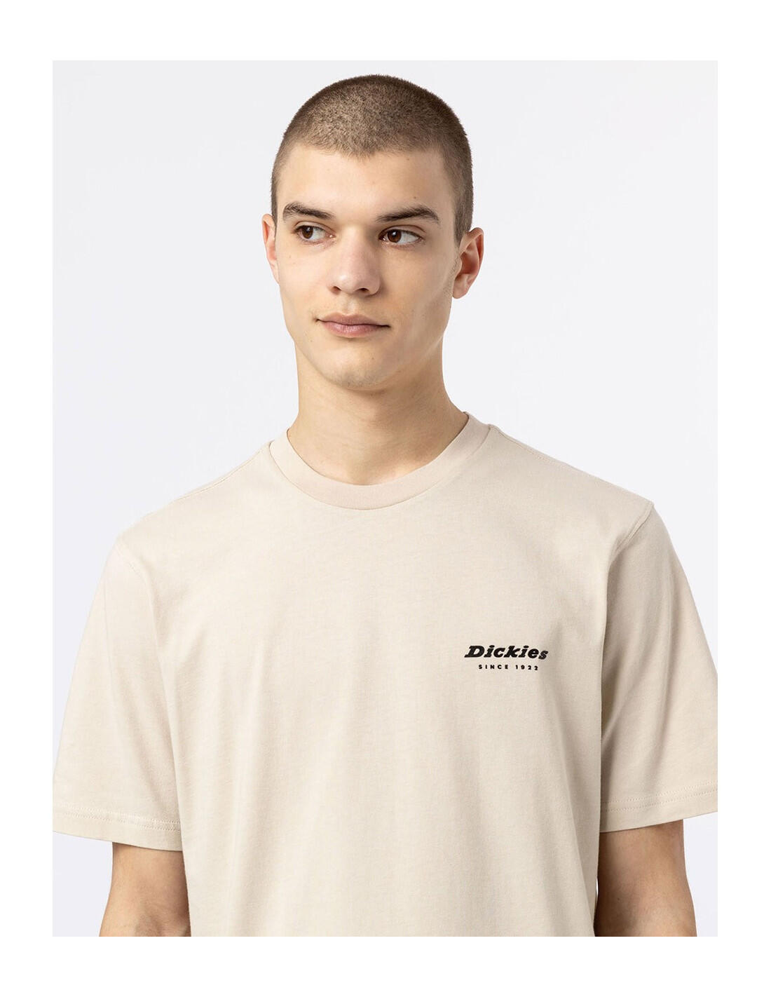 T-shirt DICKIES DK0A4XNY 4/5