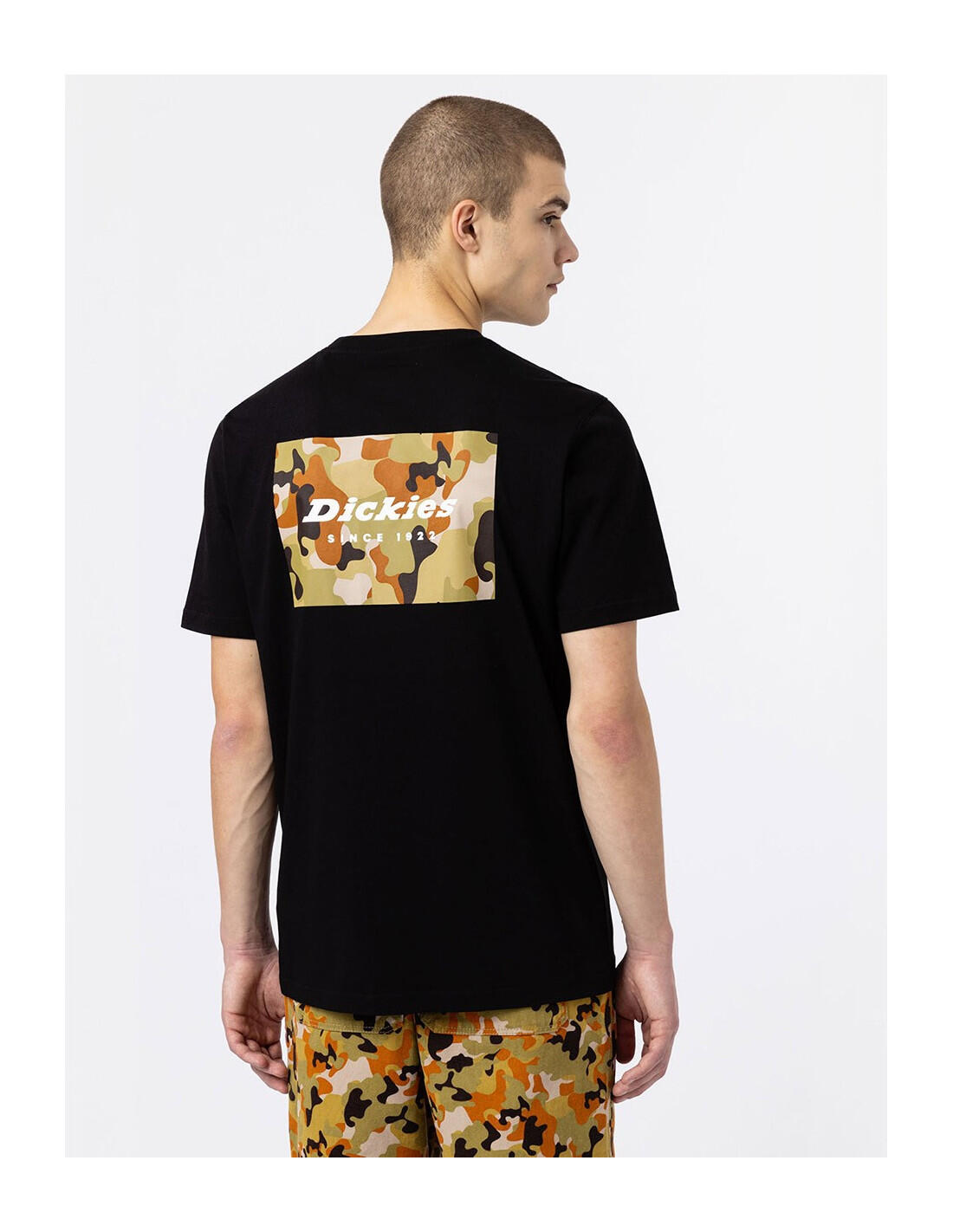 T-shirt DICKIES DK0A4XNY 3/5