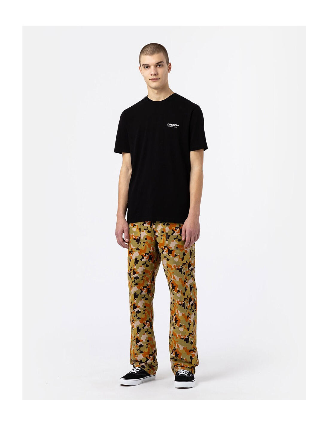 T-shirt DICKIES DK0A4XNY 5/5