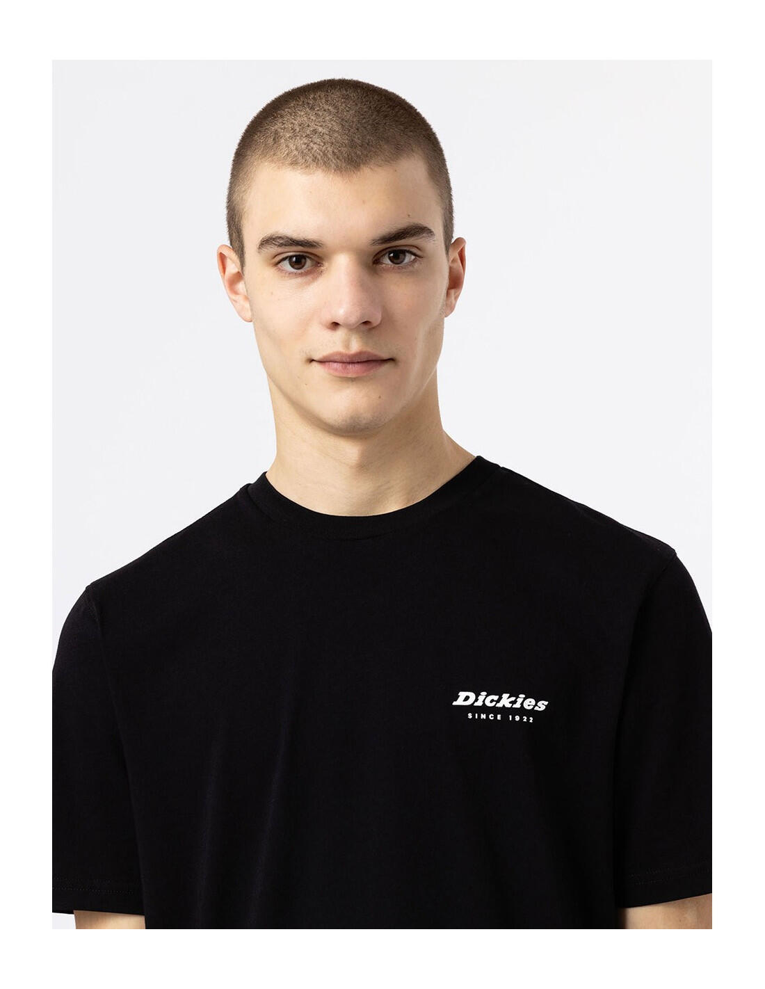 T-shirt DICKIES DK0A4XNY 4/5
