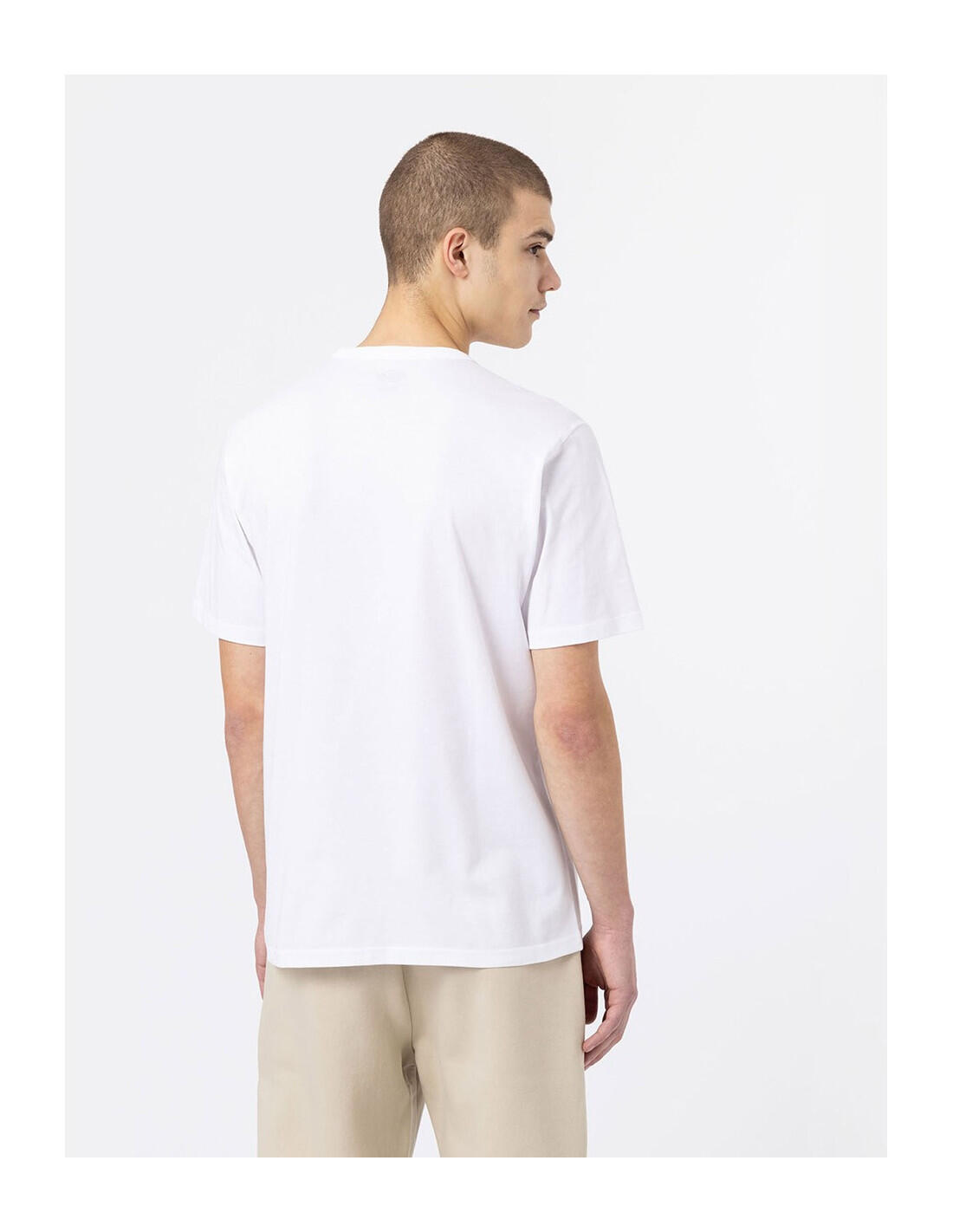 T-shirt DICKIES DK0A4X9F 3/5