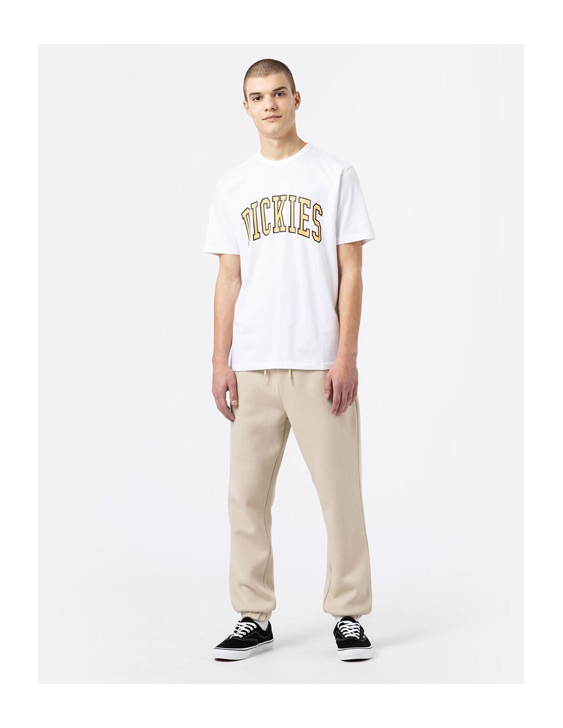 T-shirt DICKIES DK0A4X9F 5/5