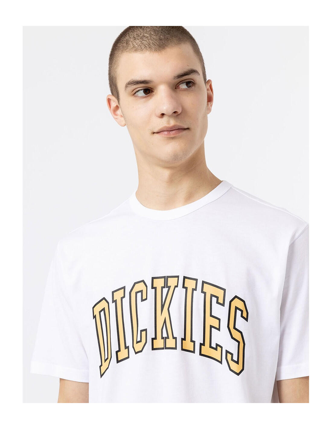 T-shirt DICKIES DK0A4X9F 4/5