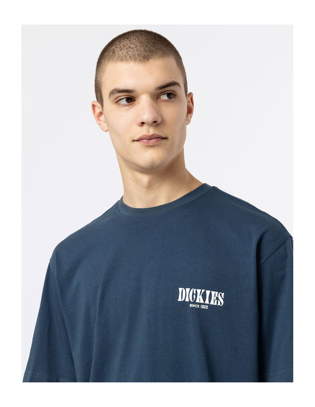 T-shirt DICKIES DK0A4XO4 4/5