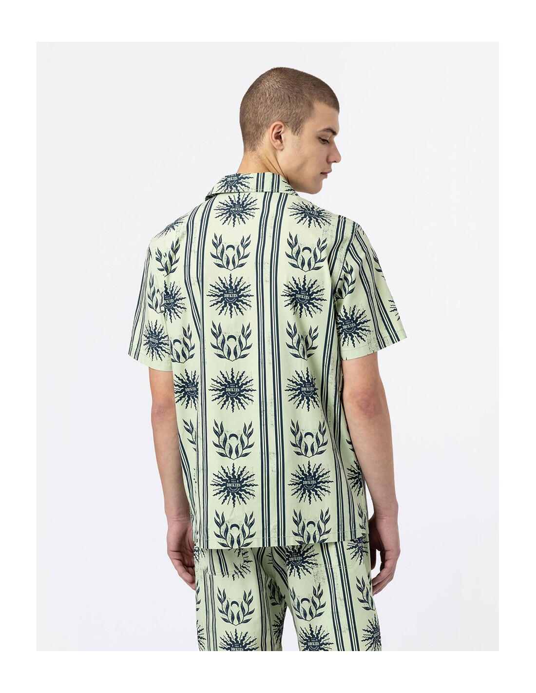 Chemise DICKIES DK0A4XN4 3/5