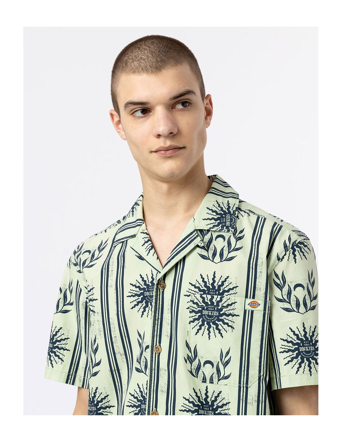 Chemise DICKIES DK0A4XN4 4/5