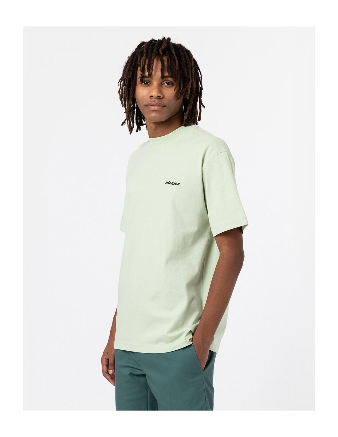 DICKIES DK0A4X9O - Maglietta 1/5