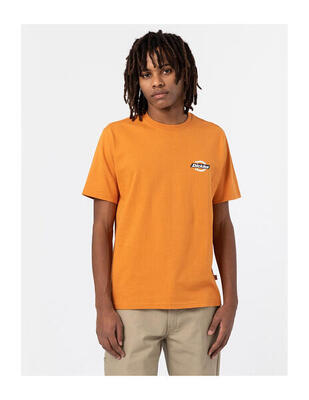 DICKIES DK0A4XDC - Maglietta