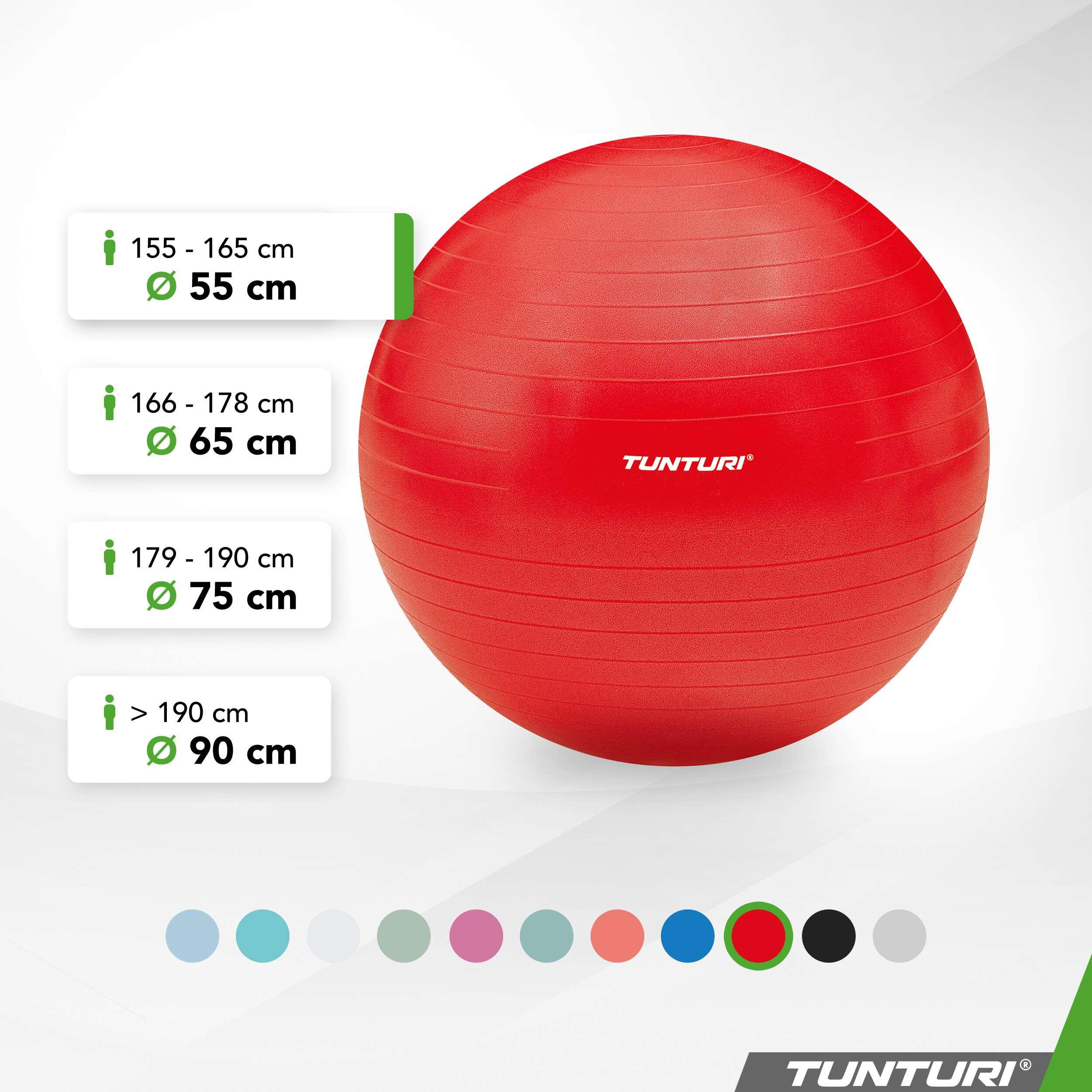 Ballon de fitness - Ballon de yoga - Pompe incluse - Capacité de charge 220 kg 2/8