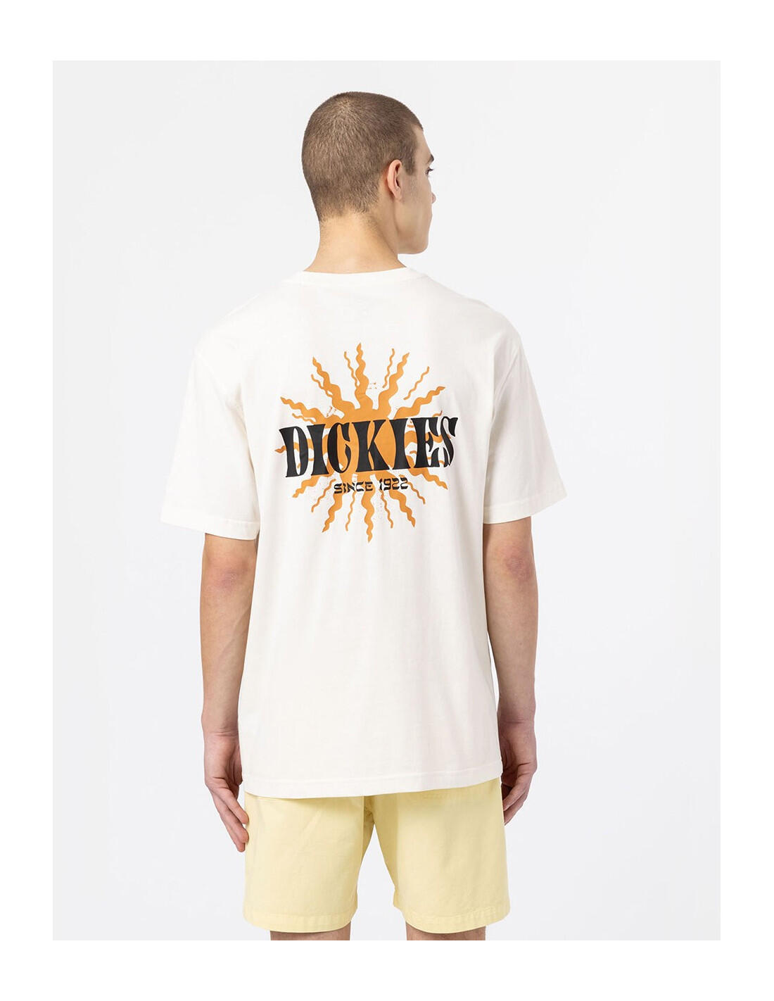 T-shirt DICKIES DK0A4XO4 3/5