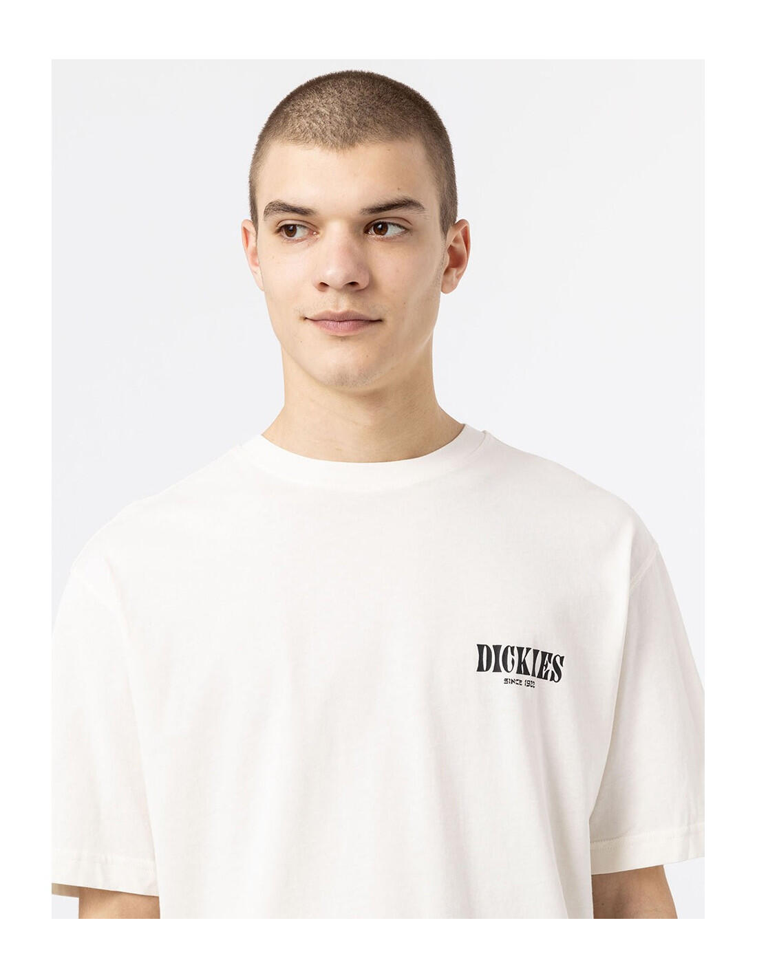 T-shirt DICKIES DK0A4XO4 4/5
