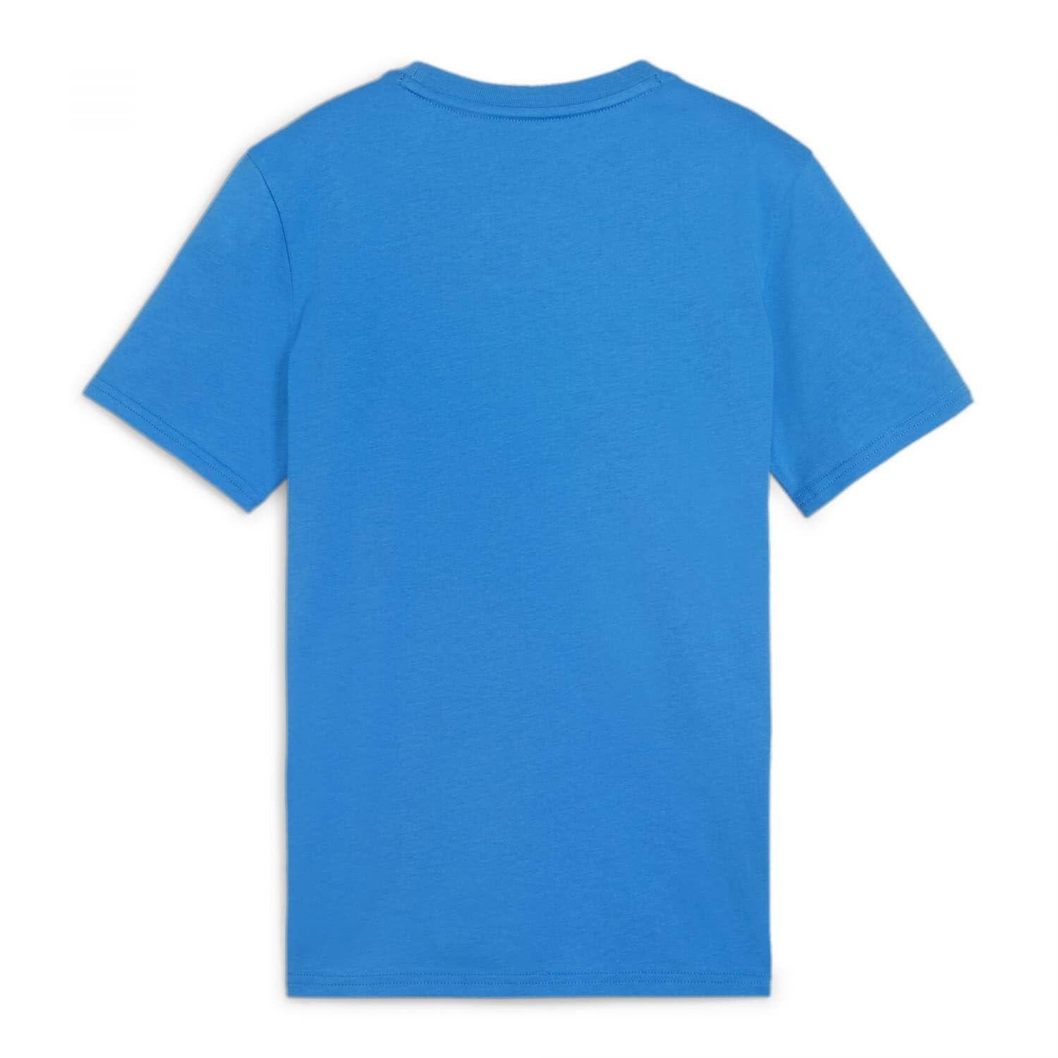 T-Shirt Enfant Puma Teamgoal Casuals Tee Ignite Blue Puma White Size 116 2/3