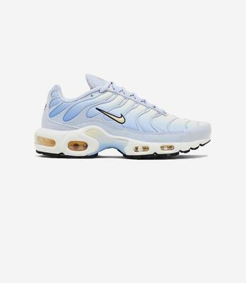 Nike Air Max Plus Daybreak (Women's)