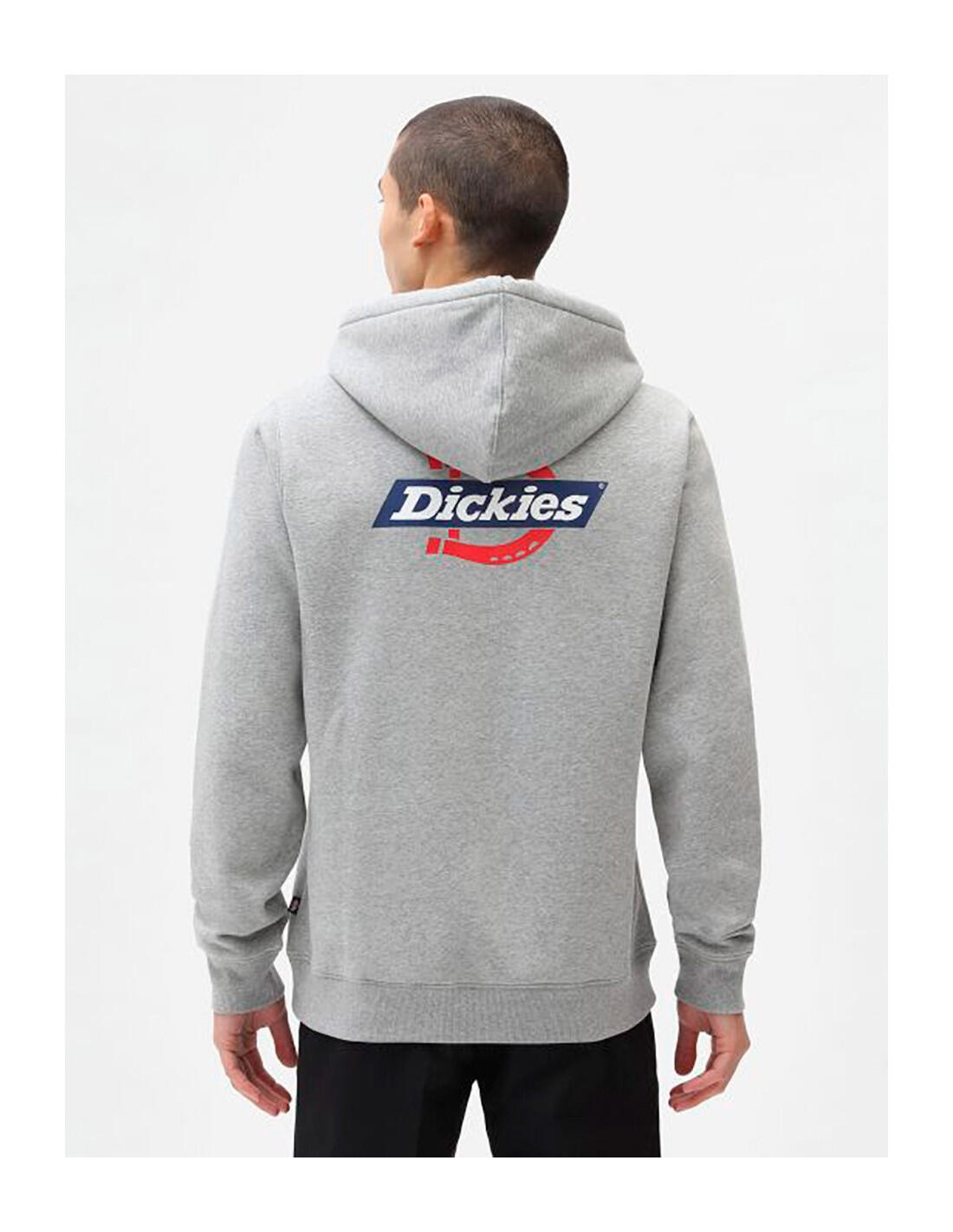 Sweat-shirt DICKIES DK0A4XAH 3/3