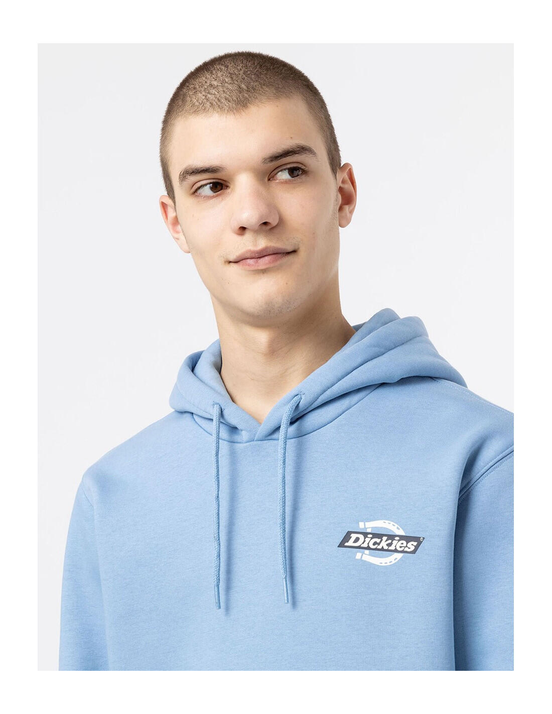 Sweat-shirt DICKIES DK0A4XAH 4/5