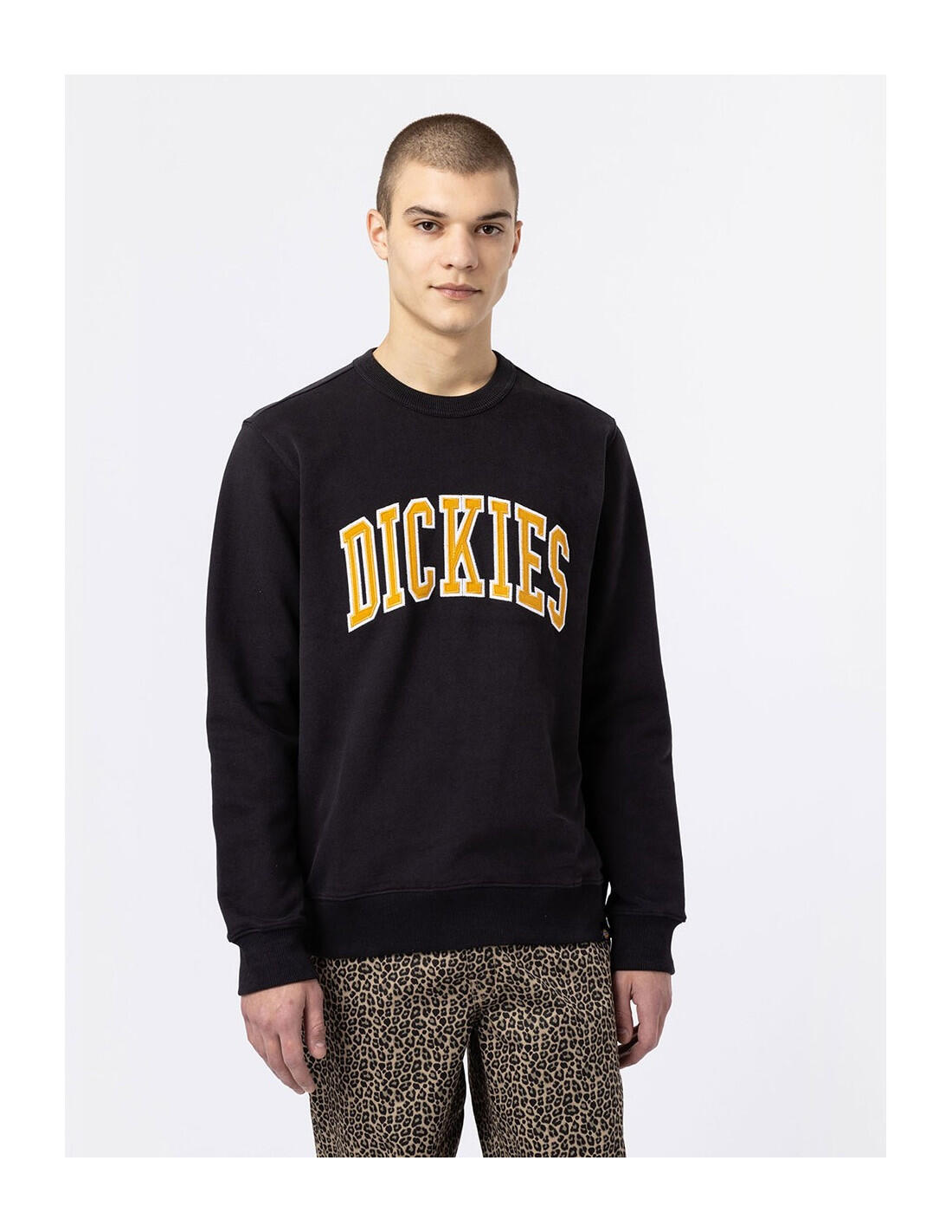 Sweat-shirt DICKIES DK0A4XAB 1/5