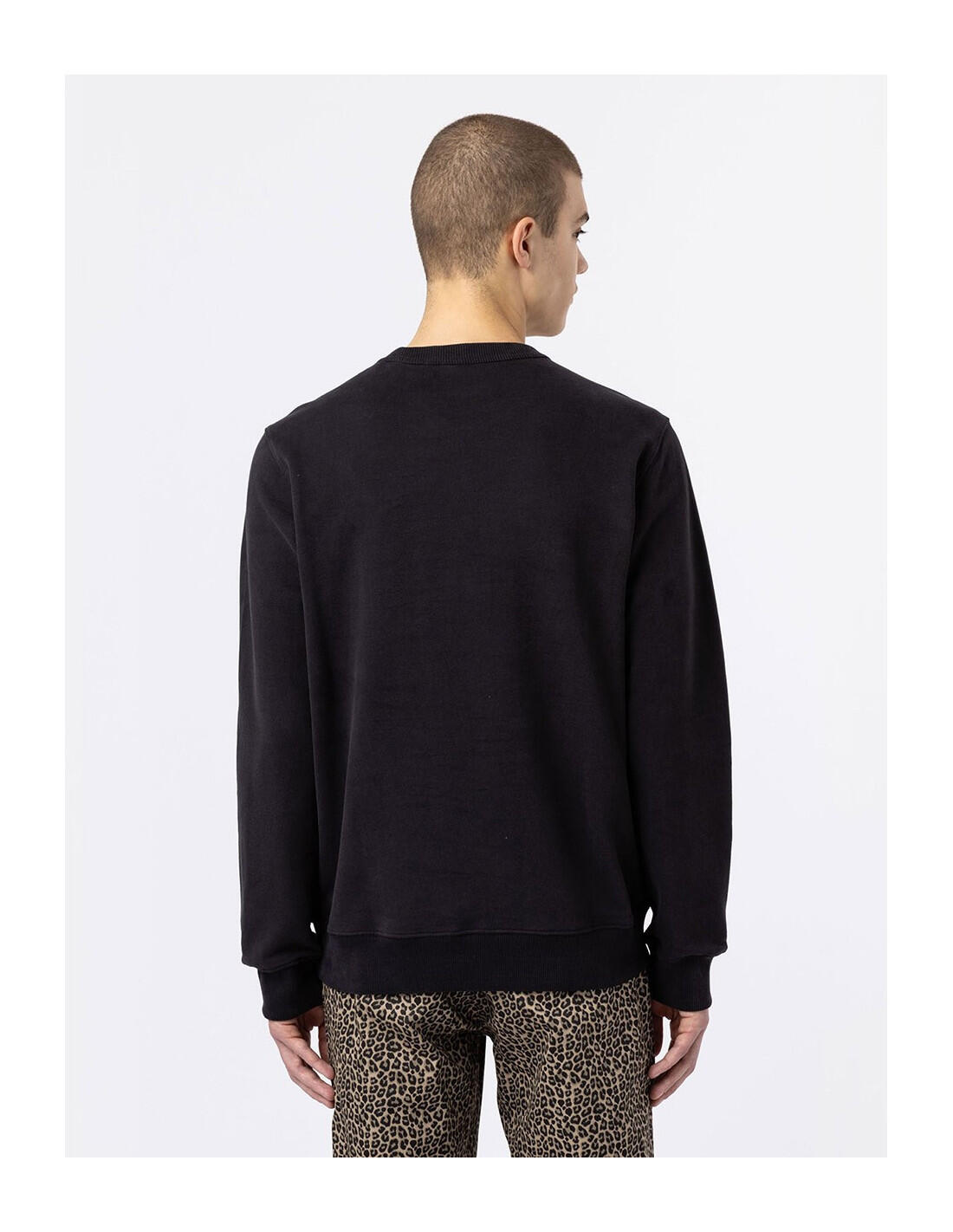 Sweat-shirt DICKIES DK0A4XAB 3/5