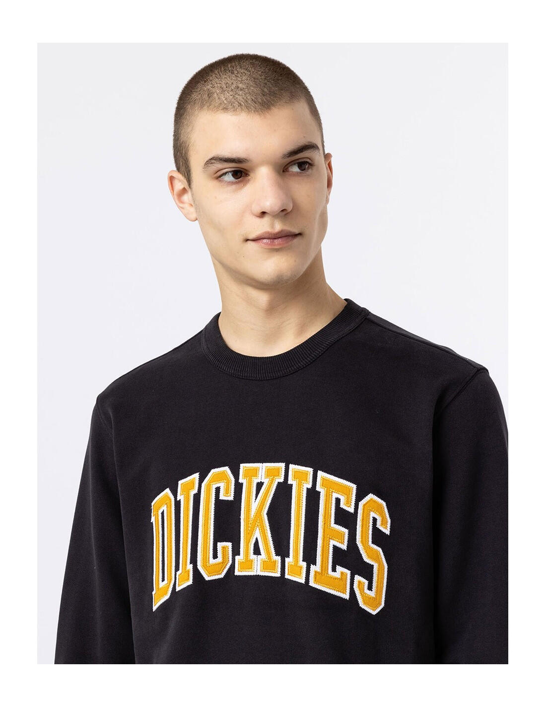 Sweat-shirt DICKIES DK0A4XAB 4/5