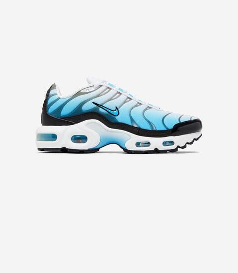Nike Air Max Plus Ice (GS)