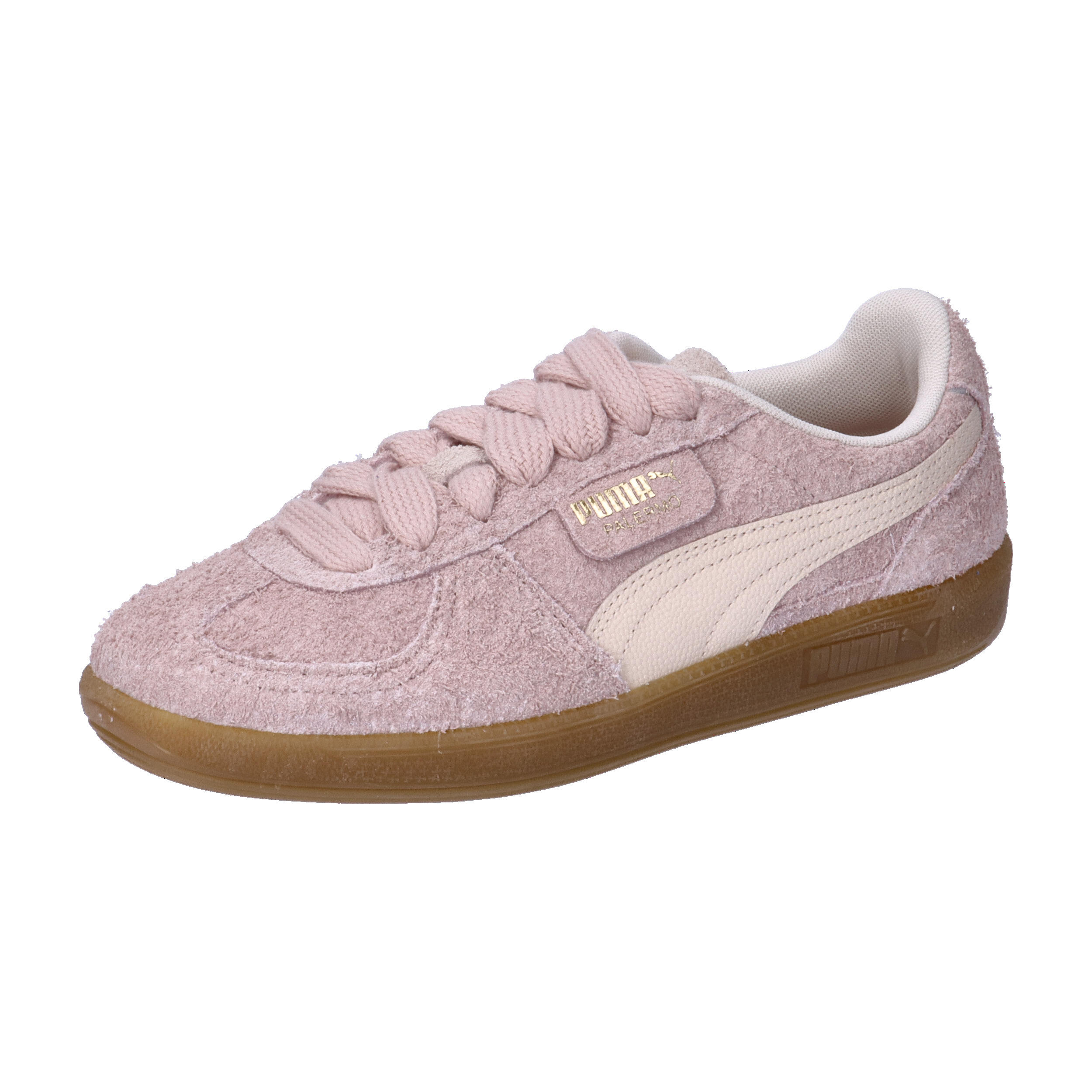 PUMA picture