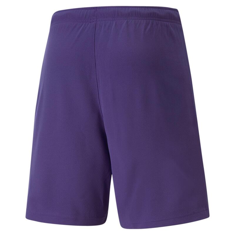 Pantaloni Scurți Drumeții În Natură Puma Bărbați