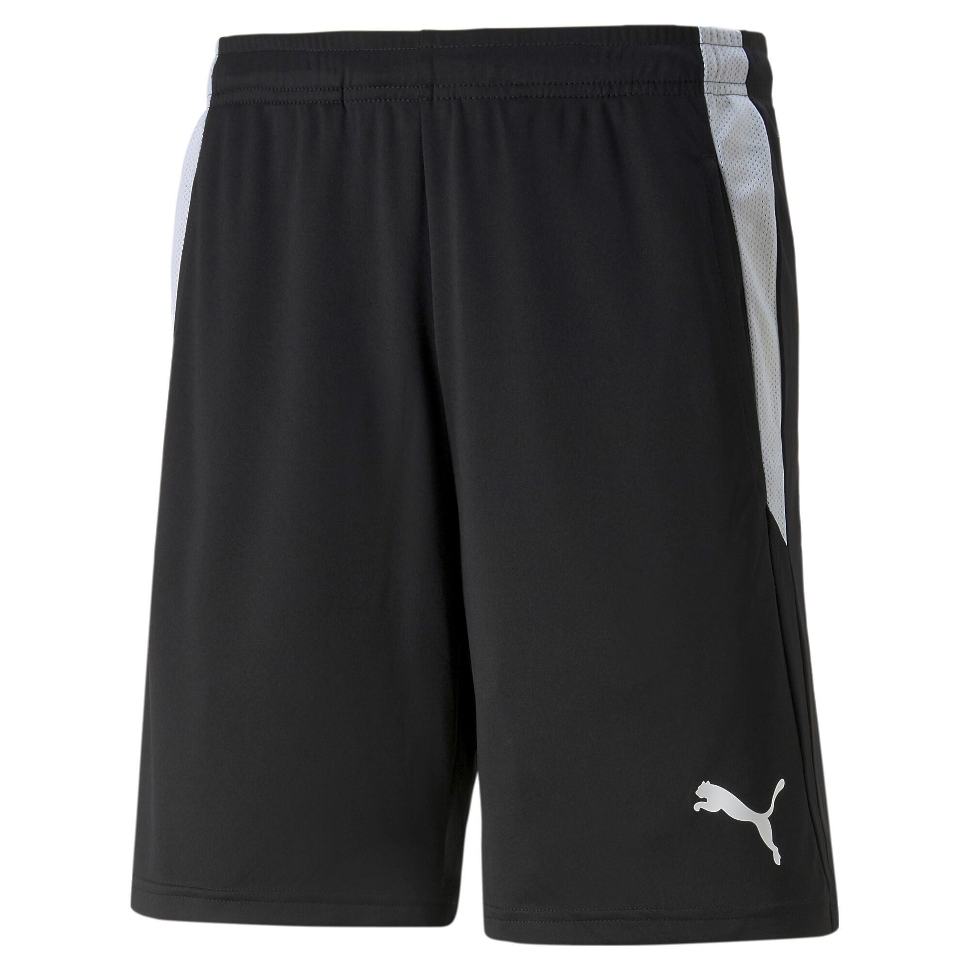 PUMA picture