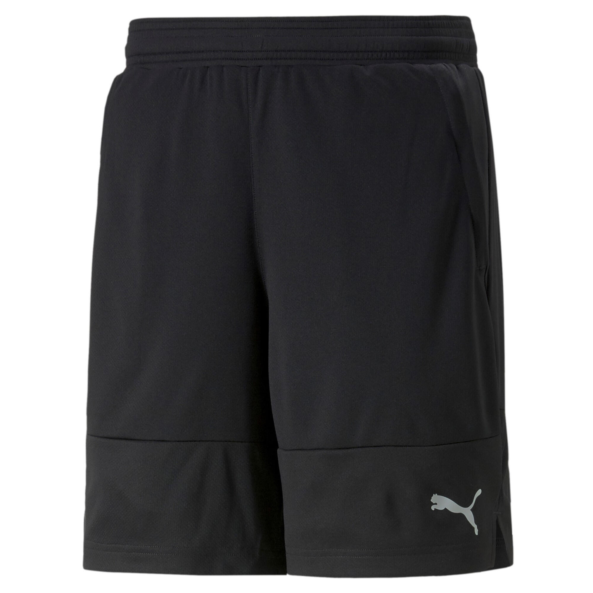 PUMA picture