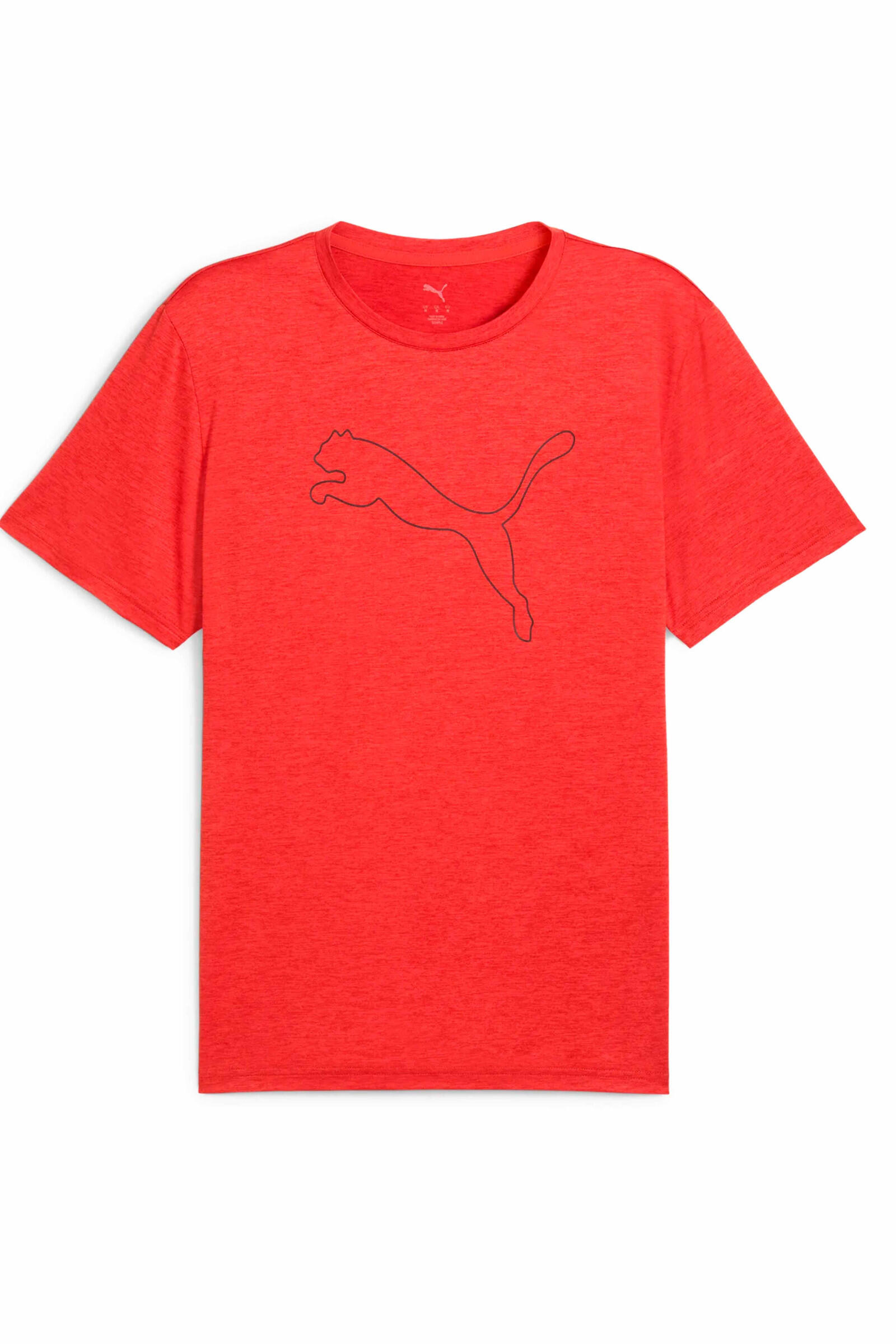 PUMA picture