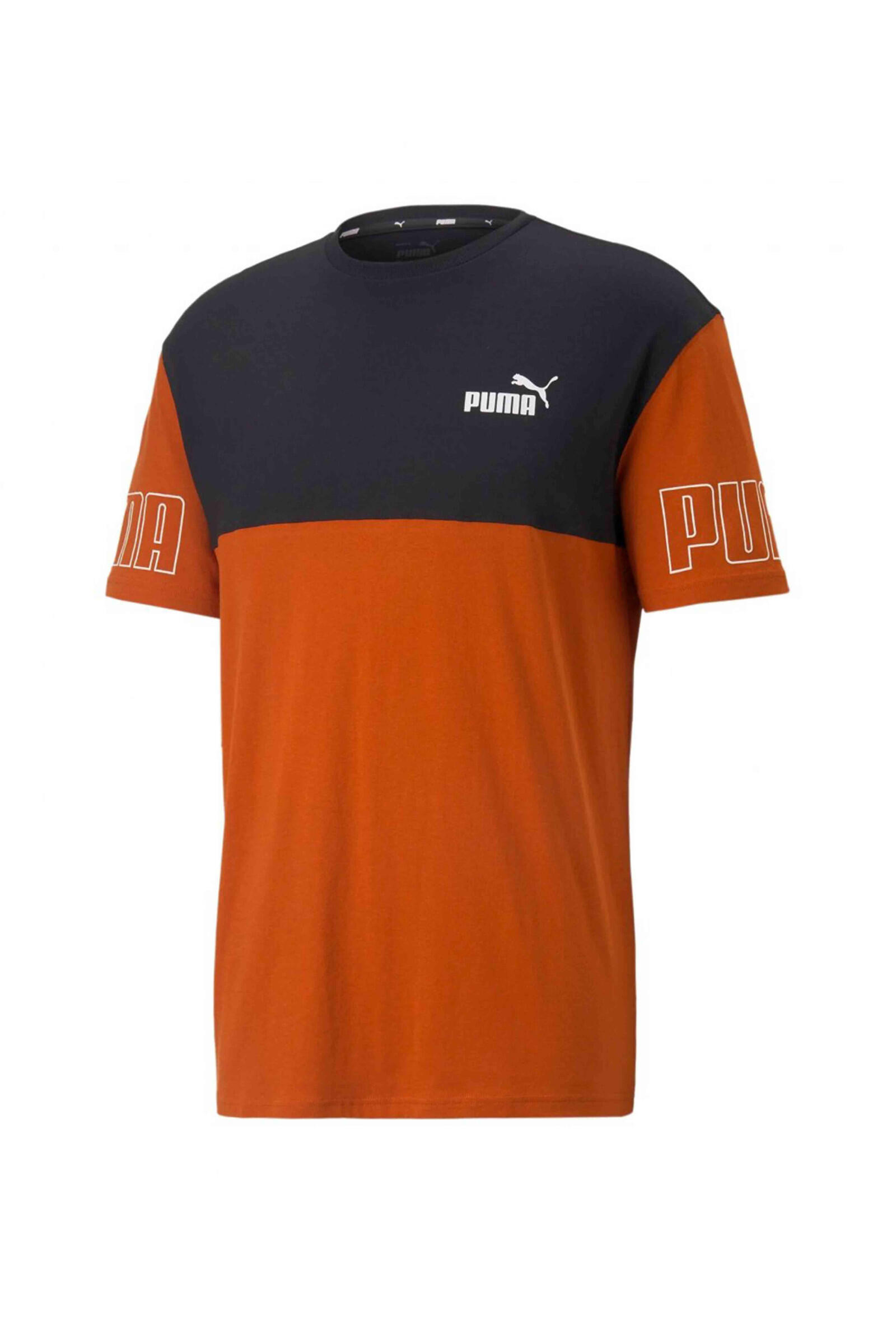 PUMA picture