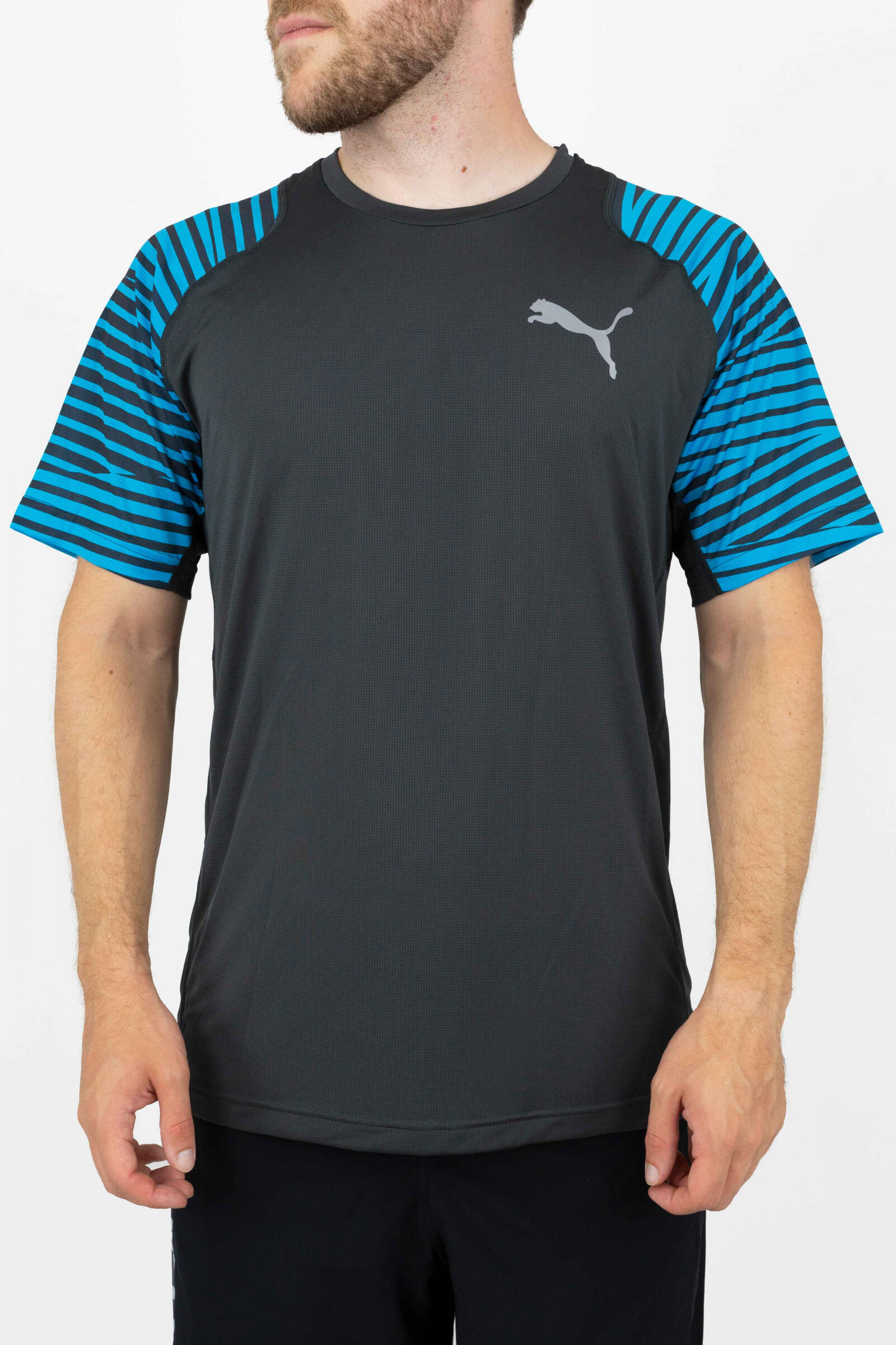 PUMA picture