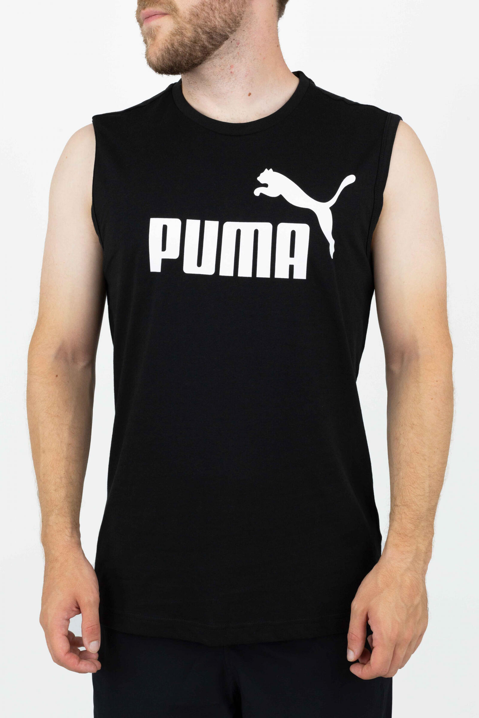 PUMA picture