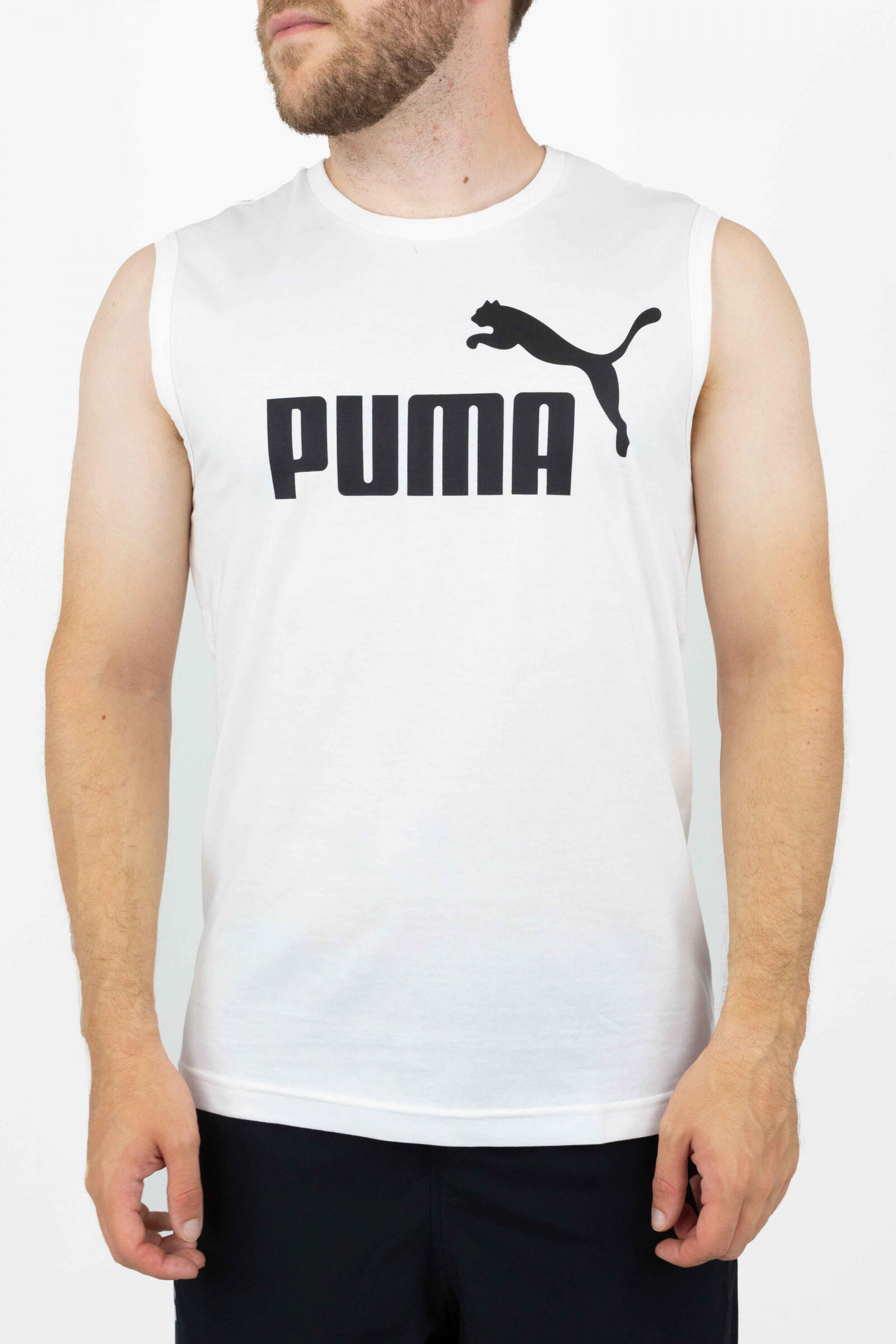 PUMA picture