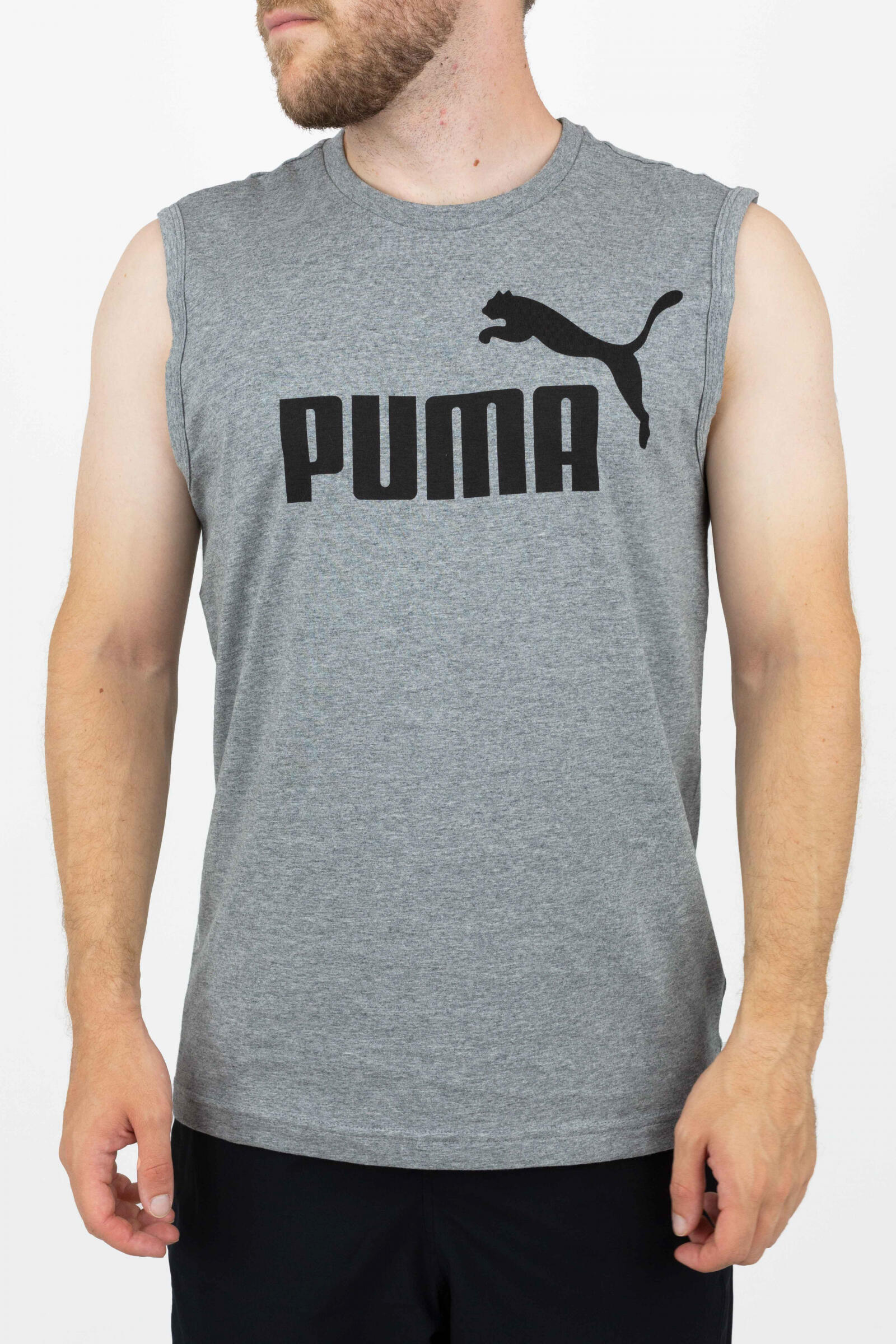 PUMA picture