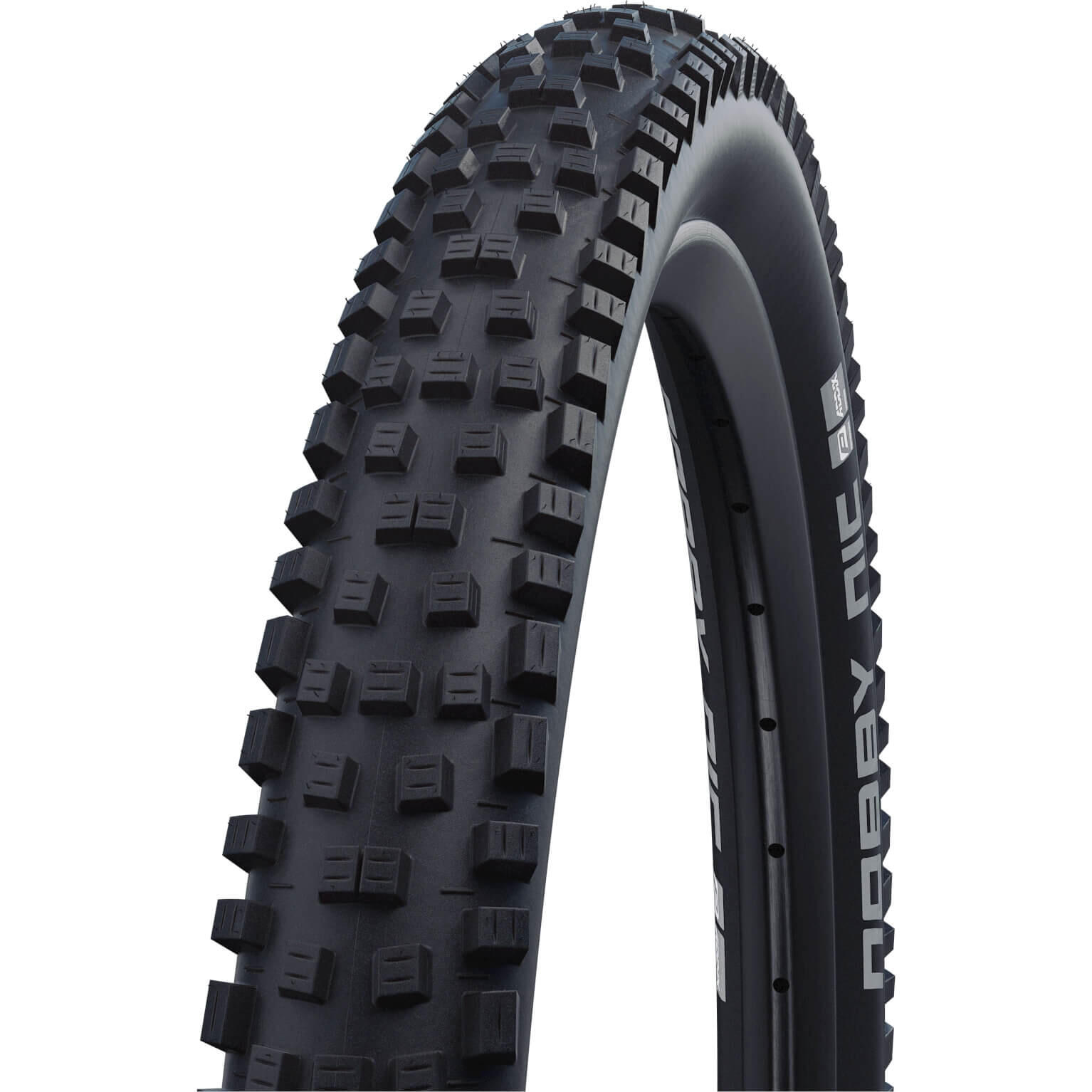 SCHWALBE picture