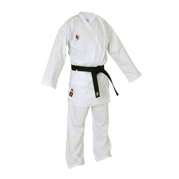 BUDO-FIGHT picture