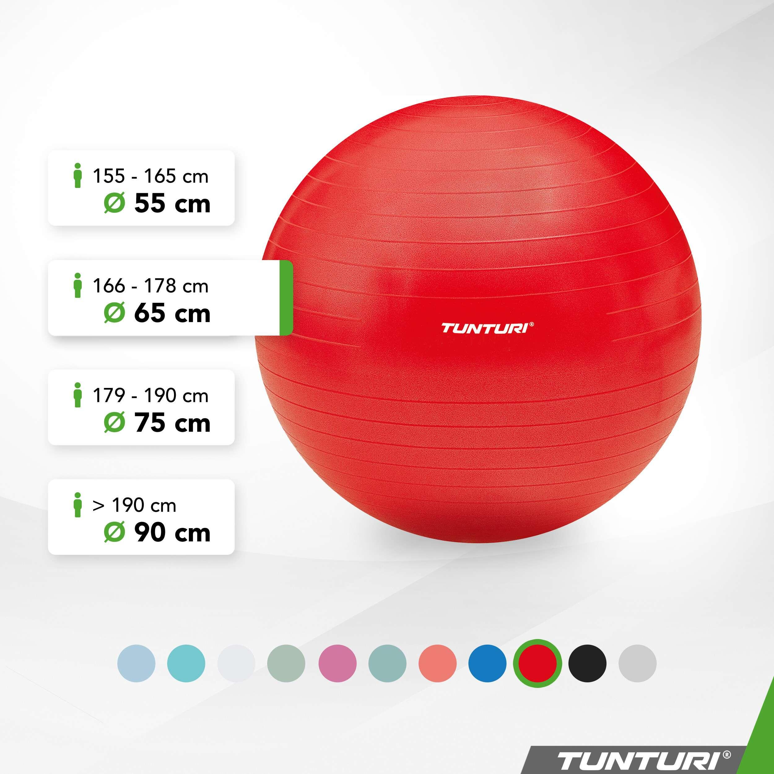 Pelota de fitness - Ø 65 cm - Rojo 2/7