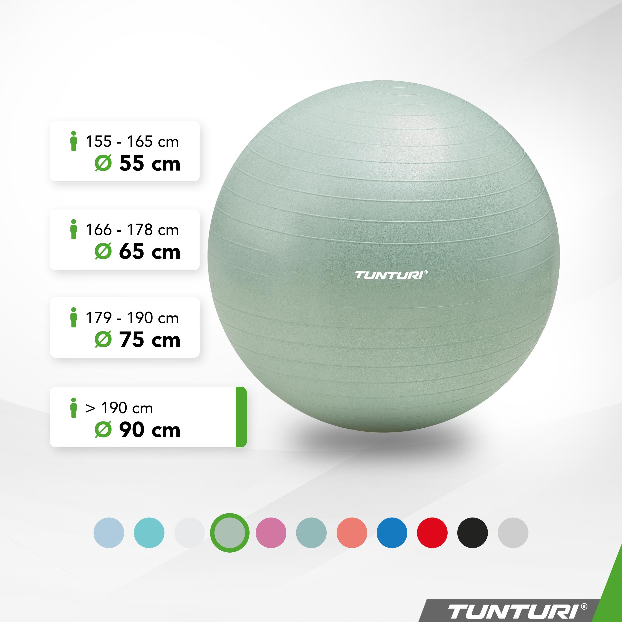 Palla Fitness - Yoga - Ginnastica - Pilates - Carico max 220 kg 2/7