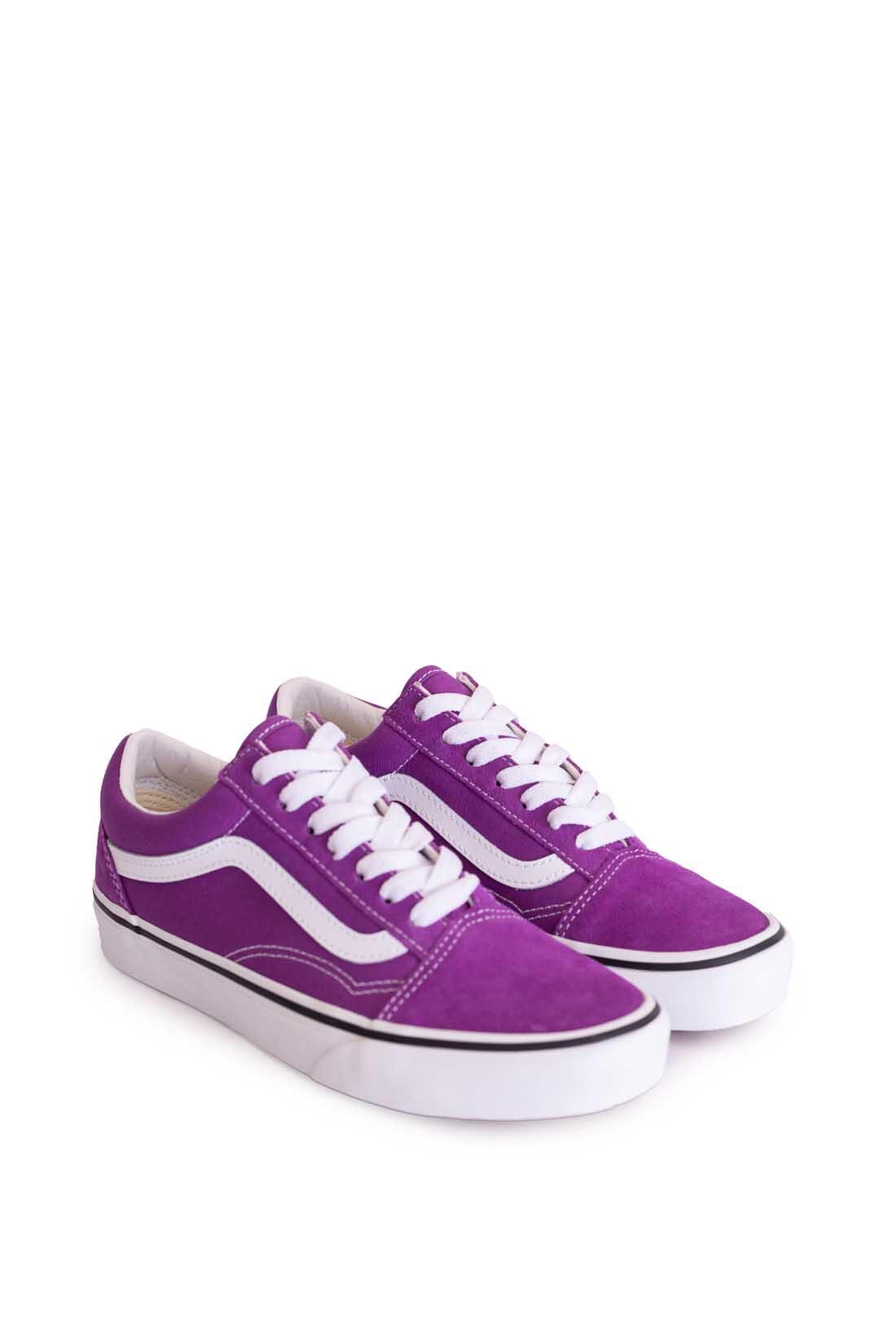 VANS picture