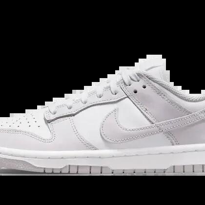 Nike Dunk Low Venice Women's