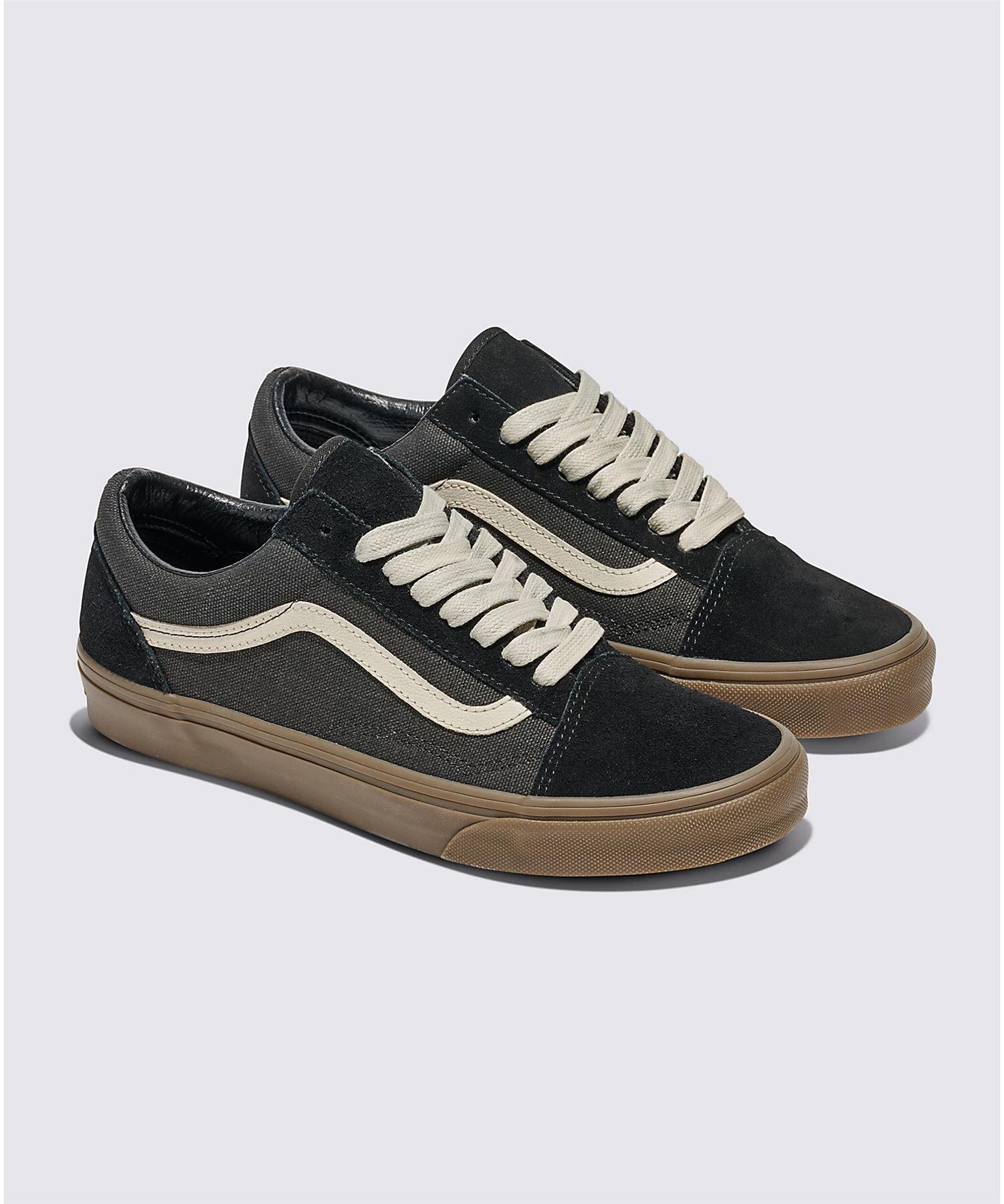 VANS picture