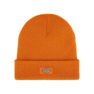 Mütze Dickies Modell Gibsland Beanie Farbe Orange