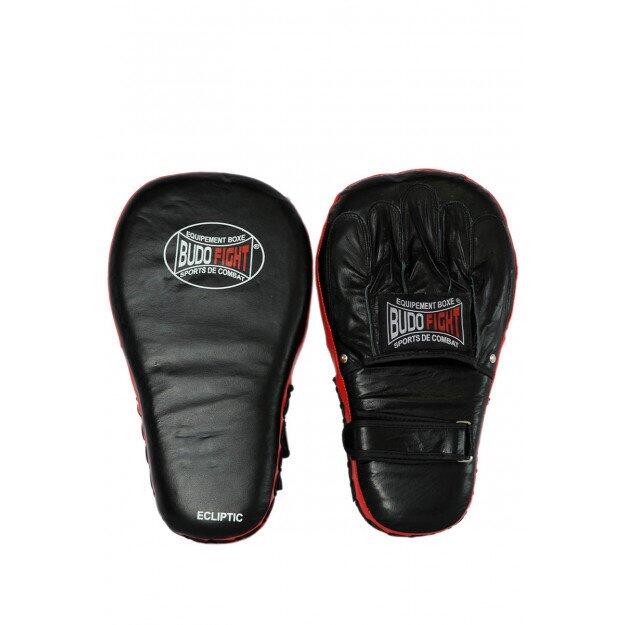 BUDO-FIGHT picture