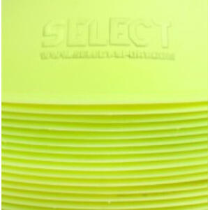 SELECT picture